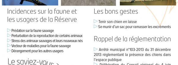 Tenir son chien en laisse : un geste qui peut sauver la nature