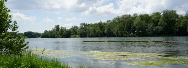 Mercredi 3 juillet 12h30 – 15h30 Balade nature au Parc du Confluent
