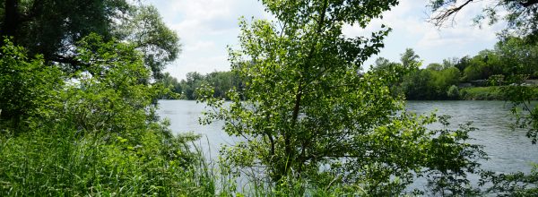 Mercredi 21 août 2019 – Balade nature au Parc du Confluent