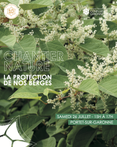 Chantier nature : La protection de nos berges