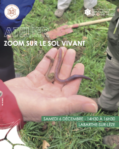 Atelier : Zoom sur le sol vivant
