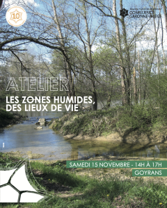 Atelier : Les zones humides, des lieux de vie 