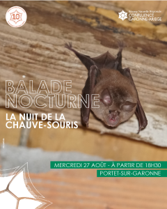 Balade : La nuit de la chauve-souris