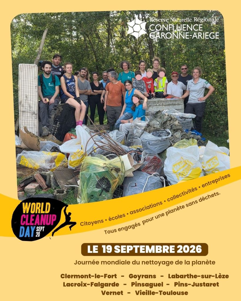affiche World Cleanup Day 2026