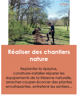 Personne en action sur une bordure de rivière