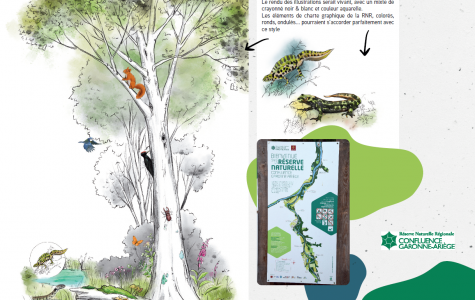 Un nouveau visage pour le Parc Naturel de Portet-sur-Garonne (épisode 3)