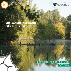 Atelier : Les zones humides, des lieux de vie