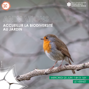 Animations : Accueillir la biodiversité au jardin