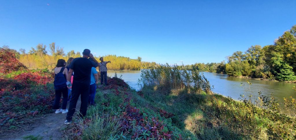 Groupe de personne regardant un paysage