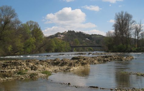 La Réserve naturelle régionale Confluence Garonne-Ariège fête ses 10 ans ! 