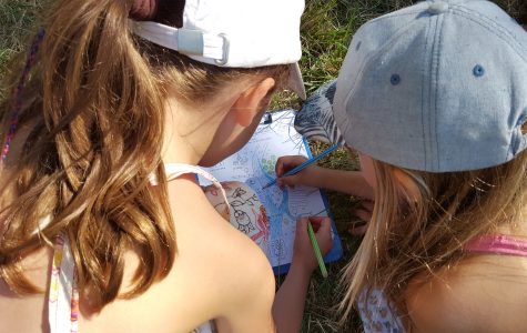 Appel aux habitants : Créons ensemble le totem des 10 ans de la Réserve naturelle !