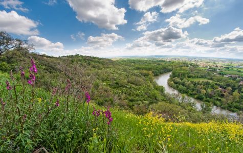 Un projet de reclassement et d’extension de la Réserve naturelle régionale Confluence Garonne-Ariège