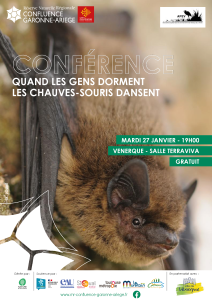 Conférence « Quand les gens dorment, les chauves-souris dansent »