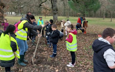 La Réserve naturelle Confluence Garonne-Ariège lance sa saison de plantations