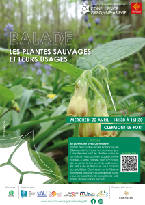 Balade – Les plantes sauvages et leurs usages