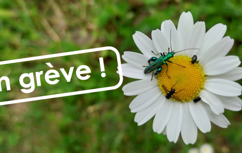 1er mai : Mouvement de grève à la Réserve naturelle régionale Confluence Garonne-Ariège