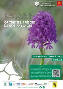 Balade – Orchidées, trésors de nos paysages