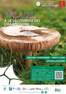 Balade – A la découverte des champignons