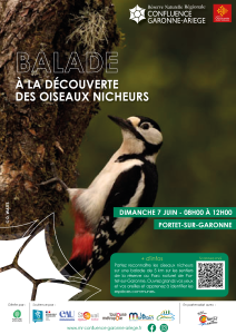 Balade – A la découverte des oiseaux nicheurs