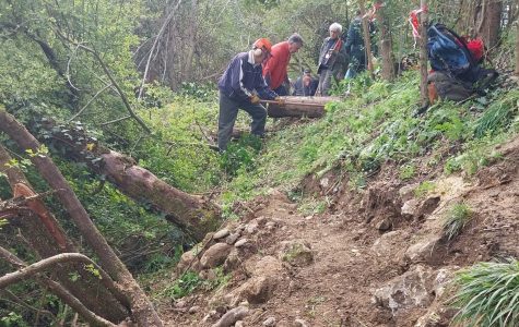 Caminarem et la Réserve naturelle s’associent pour faire évoluer un sentier de berge