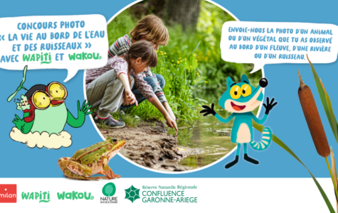 Participez au concours photo « La vie au bord de l’eau et des ruisseaux » avec Wakou et Wapiti