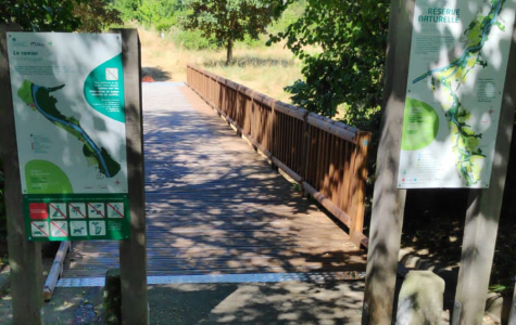 Le ramier de Pinsaguel, accessible à tous !