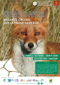 Rencontre – Regards croisés sur la faune sauvage